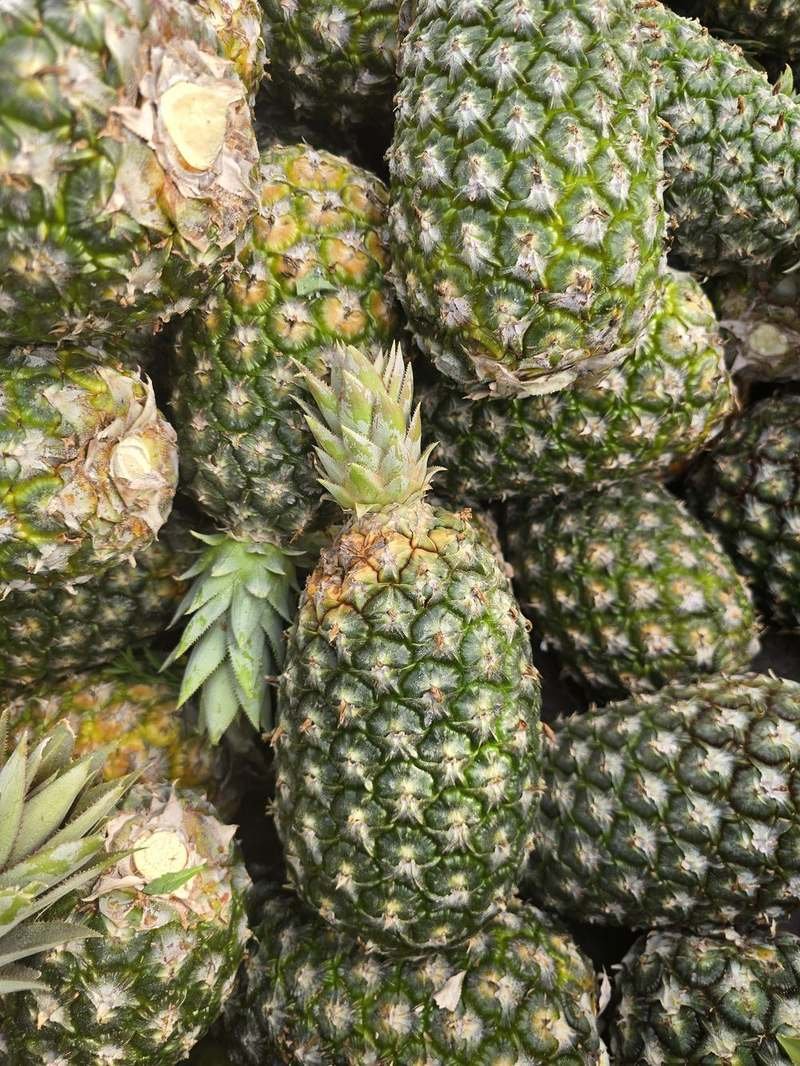 Ananas pain de sucre